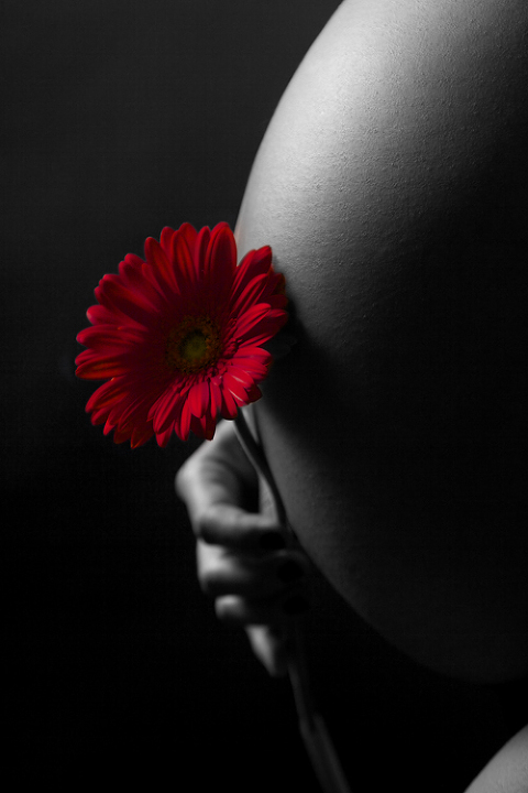Maternity_Photography_002