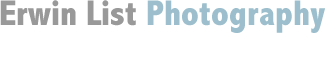 Maternity Photography NYC & Headshot Photography NYC logo
